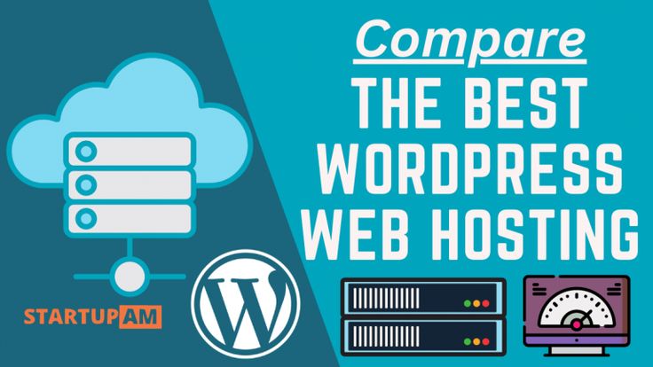 cheap monthly wordpress hosting