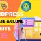 Wordpress Site Hosting